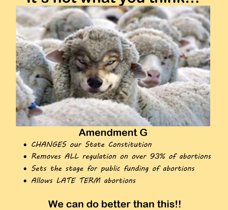 Amendment G is NOT what you think!!!